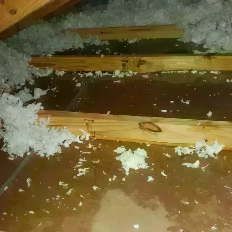 Attic Water Damage in South Amherst, MA