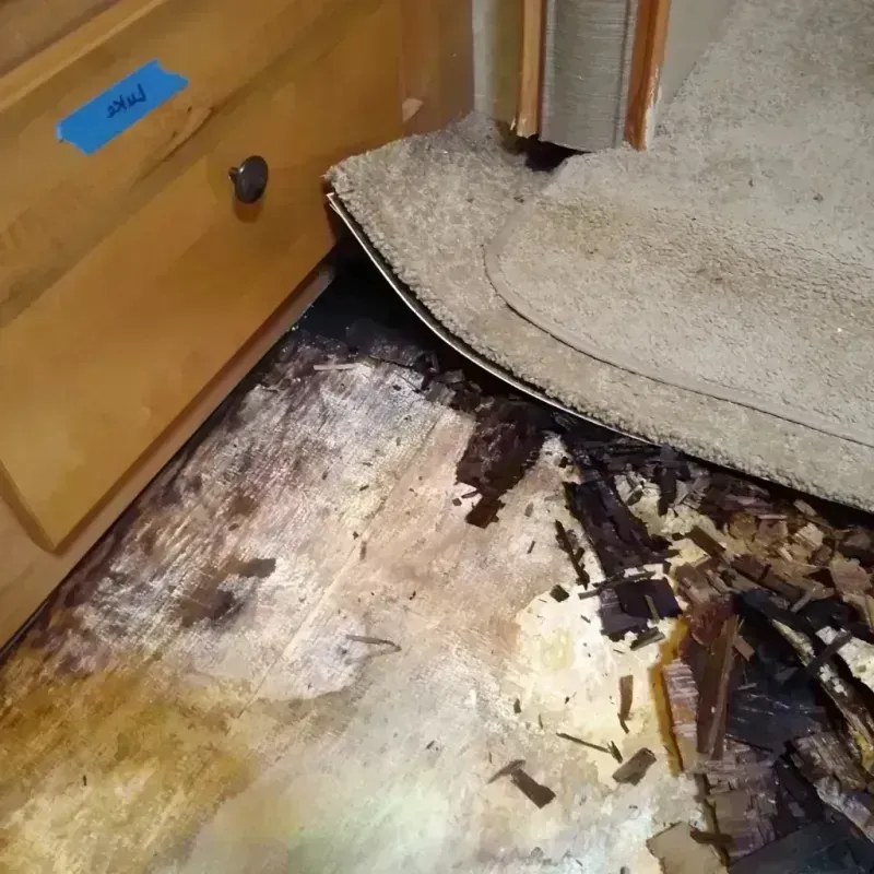 Best Wood Floor Water Damage Service in South Amherst, MA